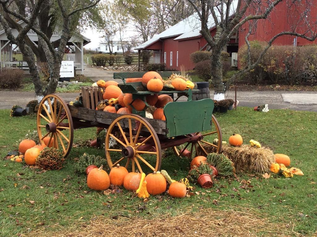 Countryside Inn Nappanee Kültér fotó